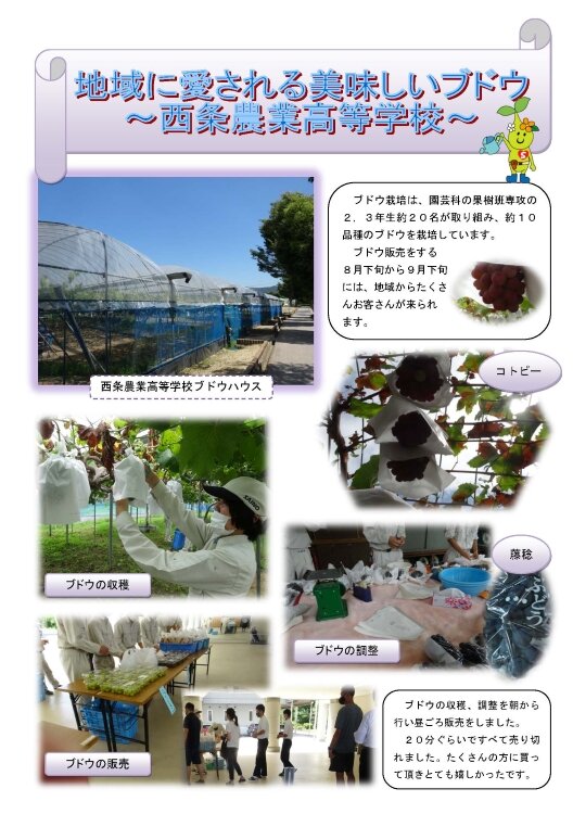 高校生じぶん 才 発見プロジェクト 受験生の方 比治山大学 比治山大学 比治山大学短期大学部